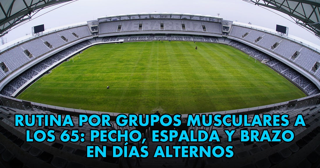Rutina por grupos musculares a los 65: pecho, espalda y brazo en días alternos